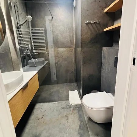 아파트 Izerski Kameralny Mountain Aparts